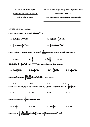 Đề kiểm tra môn Toán học Lớp 12 - Học kì II - Đề số 1 - Năm học 2016-2017 - Trường THPT Tam Quan