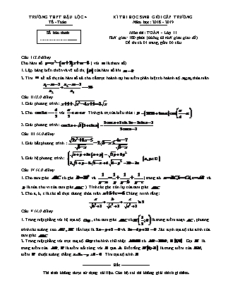 Đề thi học sinh giỏi cấp trường môn Toán Lớp 11 - Năm học 2018-2019 - Trường THPT Hậu Lộc