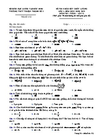 Đề thi khảo sát chất lượng môn Toán Lớp 12 - Năm học 2018-2019 - Trường THPT Thuận Thành