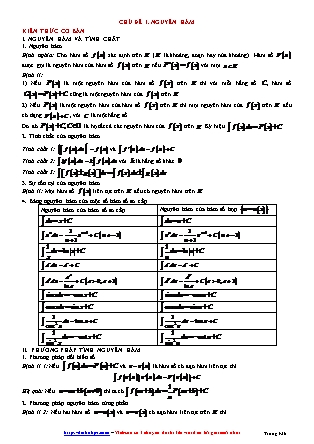 Giáo án môn Toán Lớp 12 - Chủ đề 1: Nguyên hàm