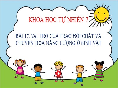 Bài giảng Khoa học tự nhiên 7 (Cánh diều) - Sinh học - Bài 17: Vai trò của trao đổi chất và chuyển hóa năng lượng ở sinh vật