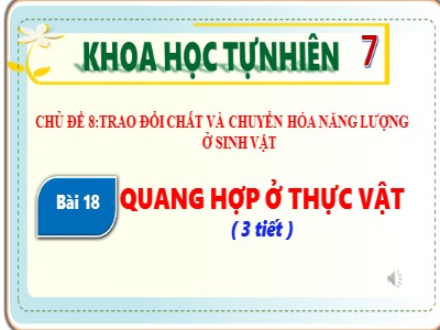 Bài giảng Khoa học tự nhiên 7 (Cánh diều) - Sinh học - Bài 18: Quang hợp ở thực vật
