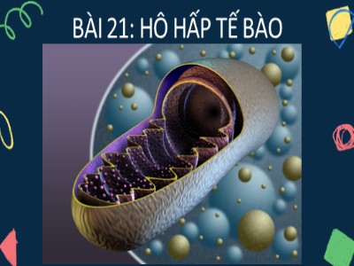 Bài giảng Khoa học tự nhiên 7 (Cánh diều) - Sinh học - Bài 21: Hô hấp tế bào
