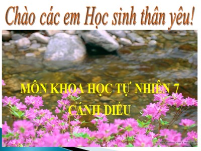 Bài giảng Khoa học tự nhiên 7 (Cánh diều) - Sinh học - Bài 25: Trao đổi nước và các chất dinh dưỡng ở thực vật