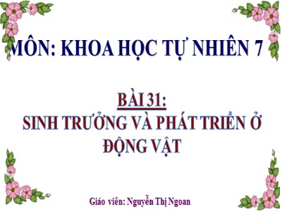 Bài giảng Khoa học tự nhiên 7 (Cánh diều) - Sinh học - Bài 31: Sinh trưởng và phát triển ở động vật - Nguyễn Thị Ngoan