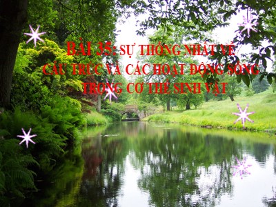 Bài giảng Khoa học tự nhiên 7 (Cánh diều) - Sinh học - Bài 35: Sự Thống Nhất về cấu trúc và các hoạt động sống trong cơ thể sinh vật