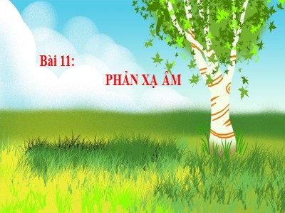 Bài giảng Khoa học tự nhiên 7 (Cánh diều) - Vật lí - Bài 11: Phản xạ âm