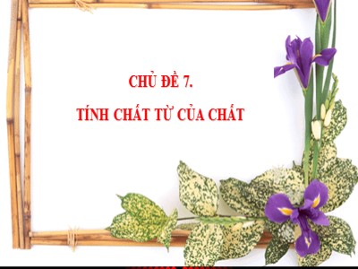 Bài giảng Khoa học tự nhiên 7 (Cánh diều) - Vật lí - Bài 15: Từ trường