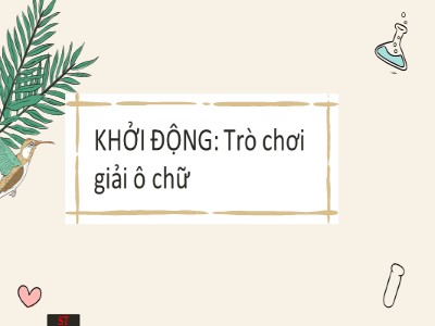 Bài giảng môn Khoa học tự nhiên Lớp 7 (Kết nối tri thức) - Hóa học - Bài 5: Phân tử-đơn chất-hợp chất