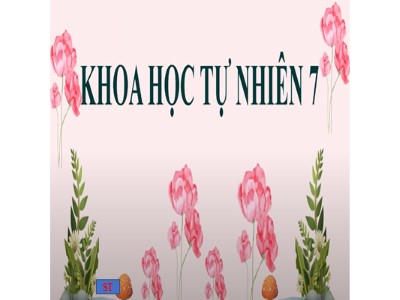 Bài giảng môn Khoa học tự nhiên Lớp 7 (Kết nối tri thức) - Hóa học - Bài 3: Nguyên tố hoá học