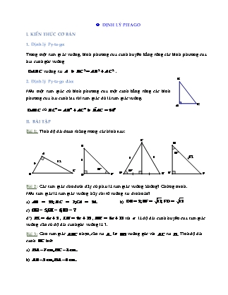 Bài tập môn Hình học Lớp 7 - Bài: Định lý Pitago (Có lời giải)