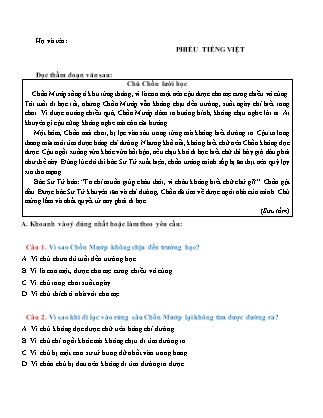 Đề kiểm tra giữa học kì I môn Tiếng Việt Lớp 4 (Cánh diều) - Năm học 2023-2024 (Có đáp án)